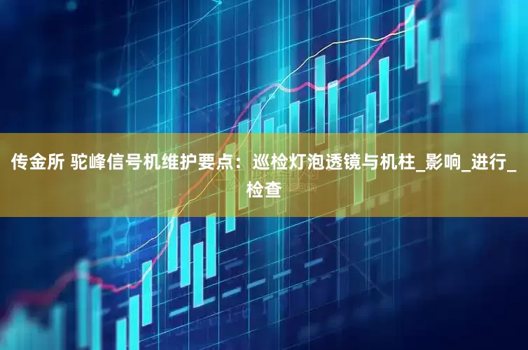 传金所 驼峰信号机维护要点：巡检灯泡透镜与机柱_影响_进行_检查